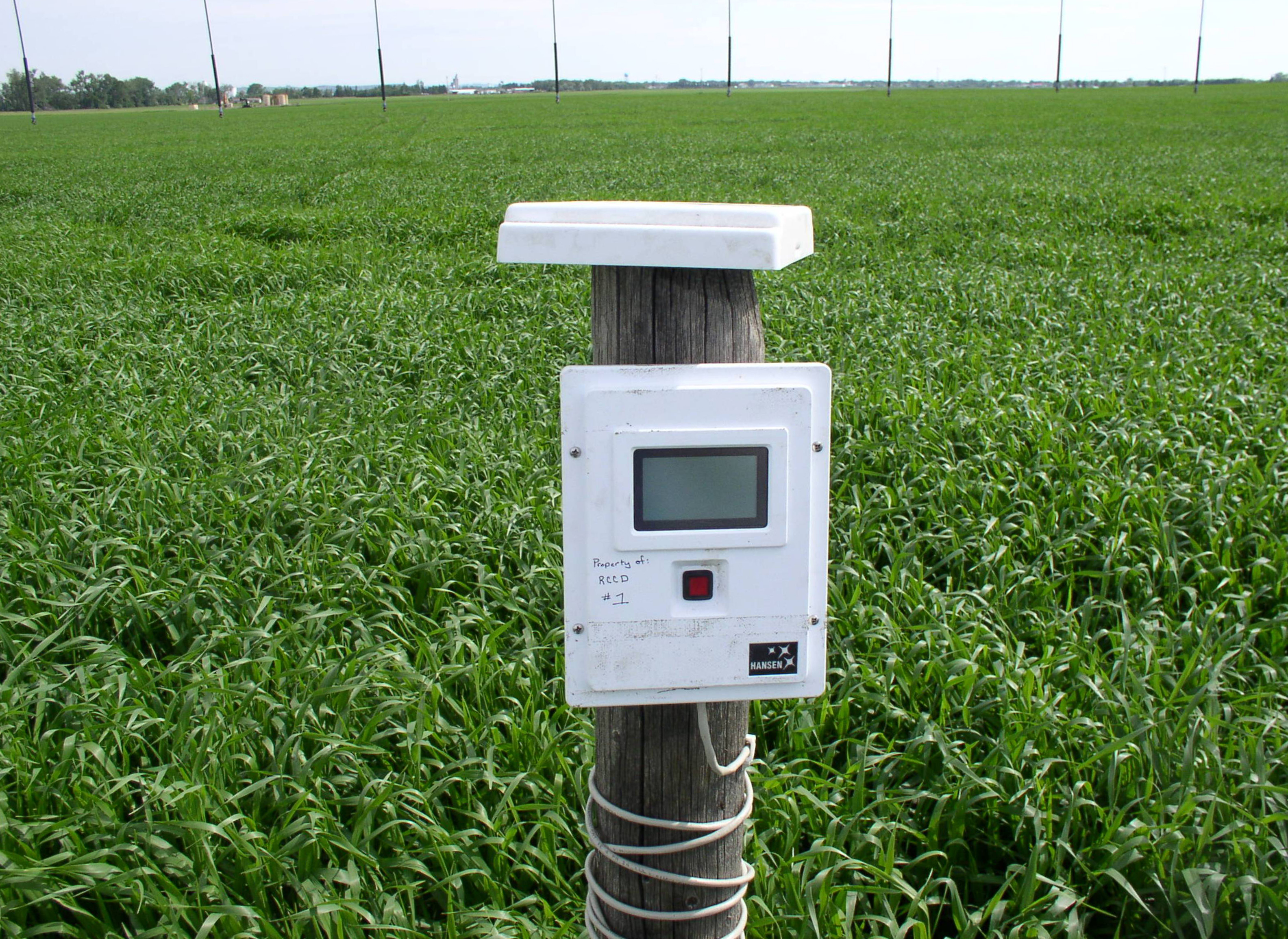 Irrigated agricultural field used for soil moisture sensor validation