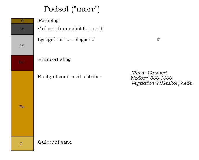 Podzol soil profile diagram showing distinct horizons for channel validation