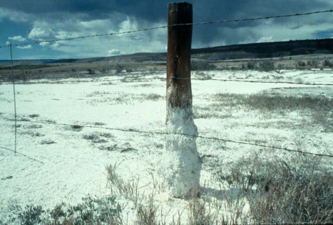 Salt-affected soil illustrating moisture and EC interference